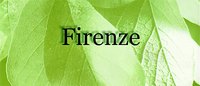 Firenze Tower III Logo