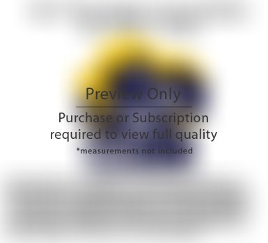Floor Plan 203 501 Pacific St